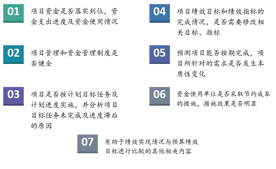 項目（專項資金）支出績效監控要點
